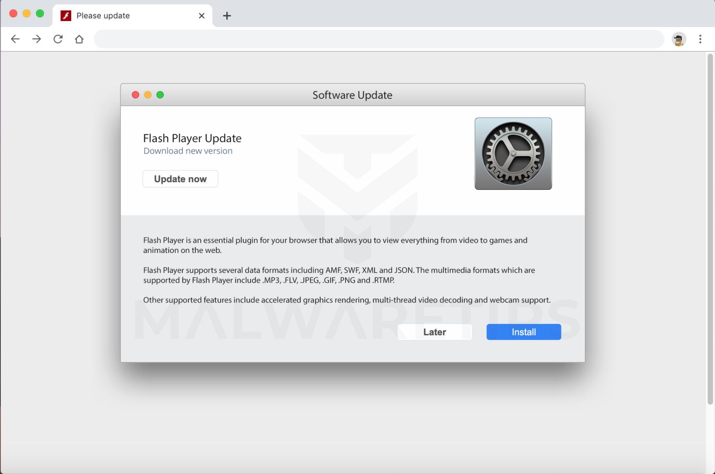 check for flash player update mac